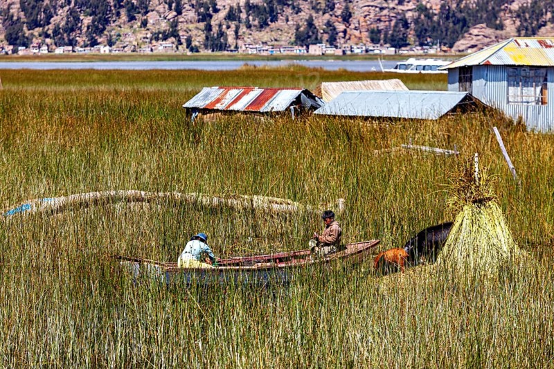 Children in a boat on a vast sea of reeds surrounded by huts in a rural setting, The floating reed islands of the Uros in Lake Titicaca in Peru