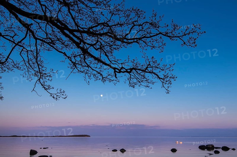 Moonrise on the lagoon on Rügen, Rügen, Glowitz, Mecklenburg-Western Pomerania, Germany