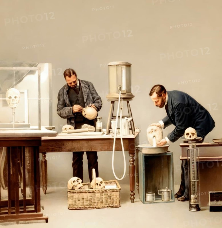 Ascertaining capacity of cranial cavity by means of water, removing putty from skull, 19th century
