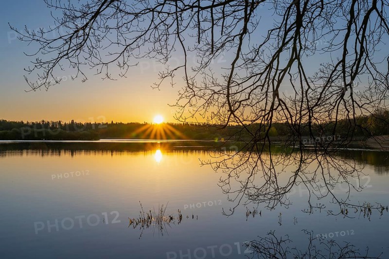 Sunrise at Ahlhorn fish ponds, Ahlhorn, Lower Saxony, Germany
