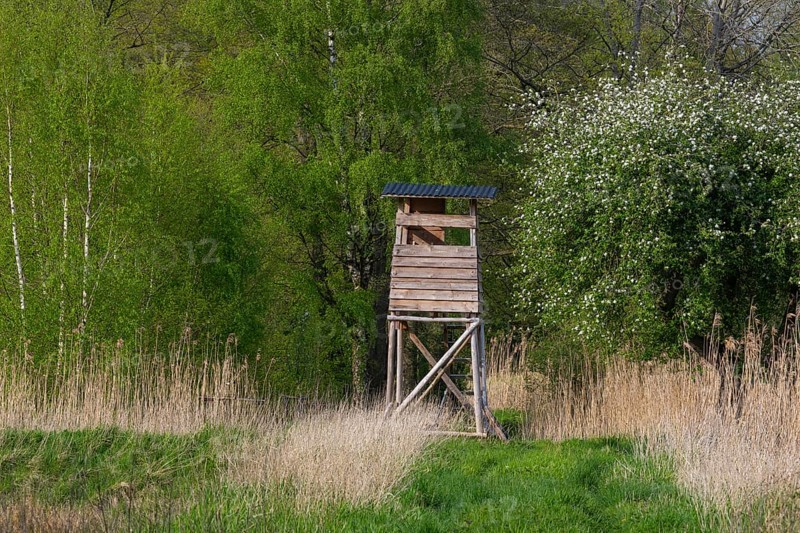 High seat with blooming apple trees at the Ahlhorn fish ponds, Ahlhorn, Lower Saxony, Germany