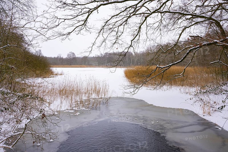 Winter at the Ahlhorn fish ponds, Ahlhorn, Lower Saxony, Germany