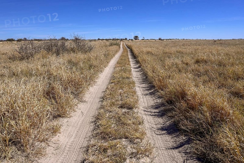 Lane on the way to Baines Baobabs, Nxai-Pan National Park, near Gweta, Central District, Botswana