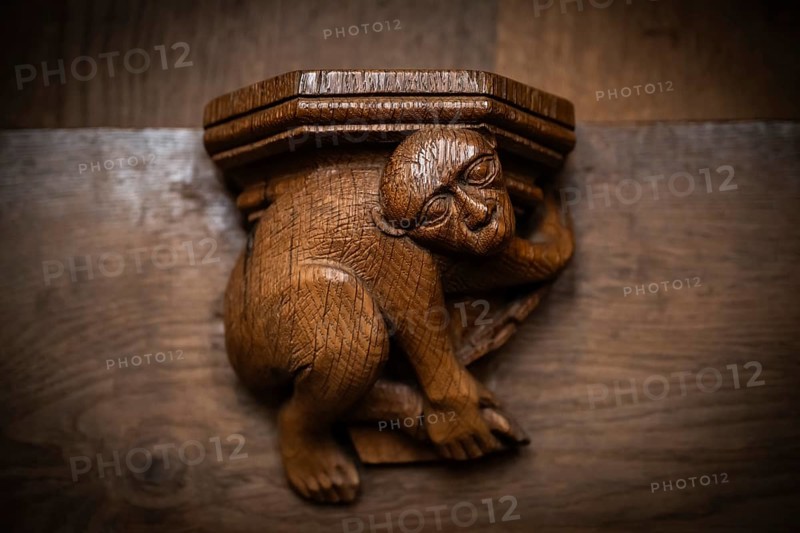 Monkey, oak choir stalls for monks' hour prayers, 1493 by Jörg Syrlin the Younger, also Sürlin or Serling, sculptor, completed, choir room, Blaubeuren Abbey, Swabian Jura, Baden-Württemberg, Germany