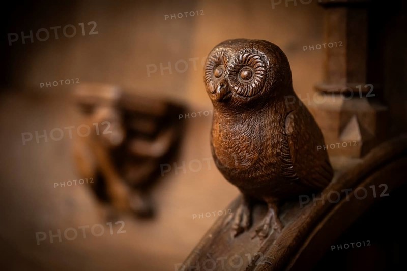Owl, oak choir stalls for monks' hour prayers, 1493 by Jörg Syrlin the Younger, also Sürlin or Serling, sculptor, completed, choir room, Blaubeuren Abbey, Swabian Jura, Baden-Württemberg, Germany