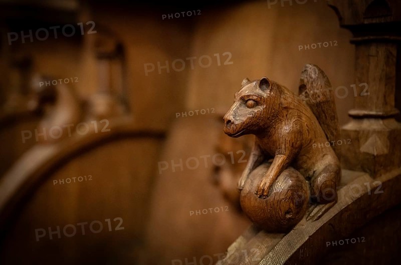 Squirrel with nut, oak choir stalls for monks' hour prayers, 1493 by Jörg Syrlin the Younger, also Sürlin or Serling, sculptor, completed, choir room, Blaubeuren Abbey, Swabian Jura, Baden-Württemberg, Germany