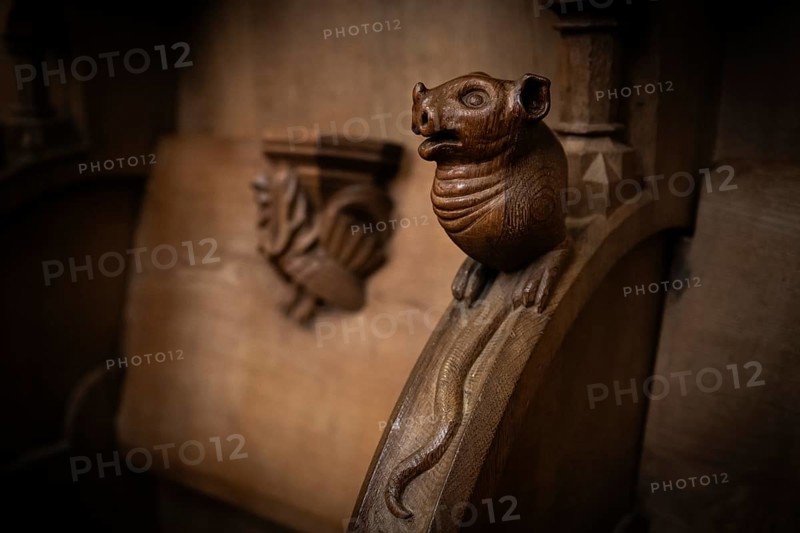Mouse, oak choir stalls for monks' hour prayers, 1493 by Jörg Syrlin the Younger, also Sürlin or Serling, sculptor, completed, choir room, Blaubeuren Abbey, Swabian Jura, Baden-Württemberg, Germany
