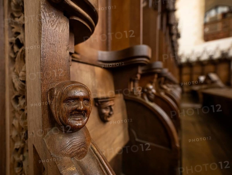 Choir stalls made of oak wood for the monks, 1493 by Jörg Syrlin the Younger, also Sürlin or Serling, sculptor, completed, choir room, Blaubeuren Abbey, Swabian Jura, Baden-Württemberg, Germany