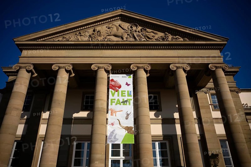 Entrance, tympanum, advertising poster, diversity, Natural History Museum Stuttgart, Rosenstein Castle, Rosenstein Park, Stuttgart, Baden-Württemberg, Germany