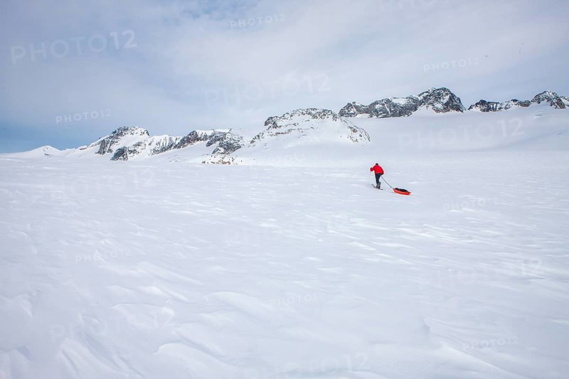 A tourist on a winter Arctic expedition skiing along Ikasartivaq Fjord, Sermersooq municipality, north of Ammassalik Island and facing Sermilik, Greenland, North America