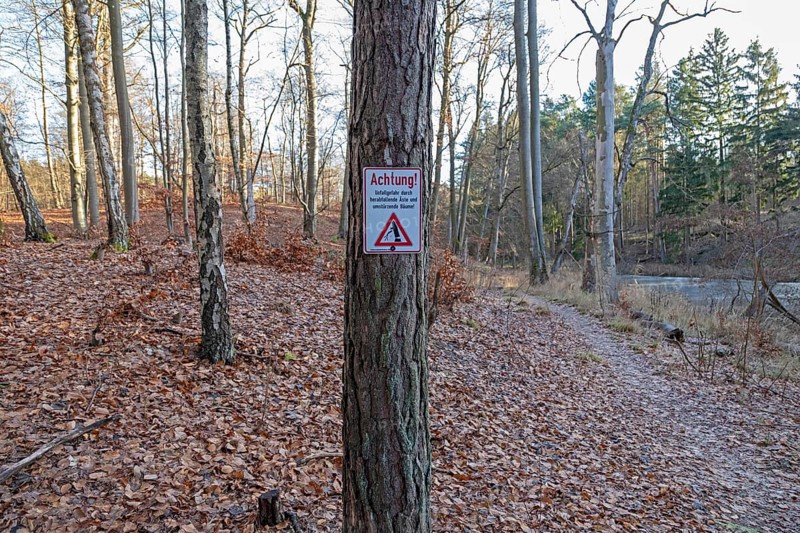 Warning sign warns of risk of accidents due to falling branches and falling trees, forest area near Spechthausen, Brandenburg, Germany