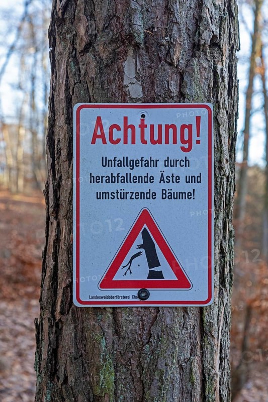 Warning sign warns of risk of accidents due to falling branches and falling trees, forest area near Spechthausen, Brandenburg, Germany