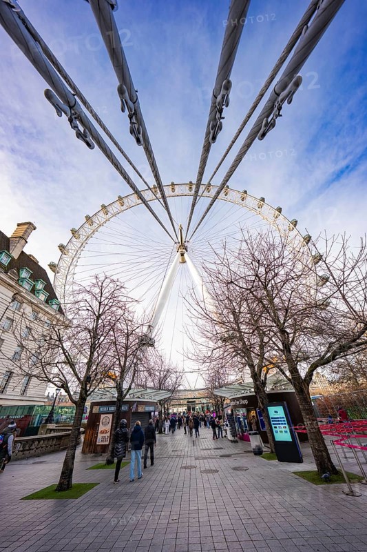 View through trees to Ferris wheel with blue sky in background, London Eye, London, United Kingdom