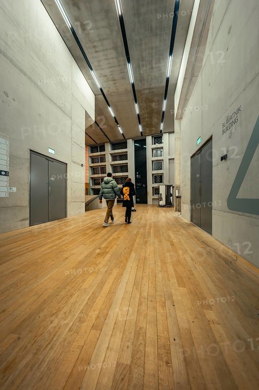 Bright modern interior with wooden floor and multiple doors, Tate Modern of Art, Lodon, United Kingdom