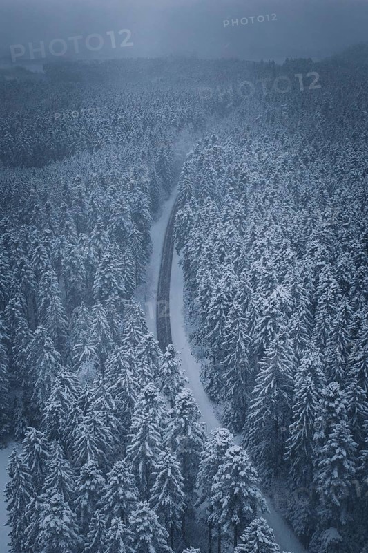 Long, snowy road in a thick winter forest, Hörschweiler, Freudenstadt district, Germany