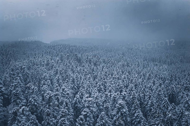 Wide, snowy forest landscape under a dark sky, Hörschweiler, Freudenstadt district, Germany