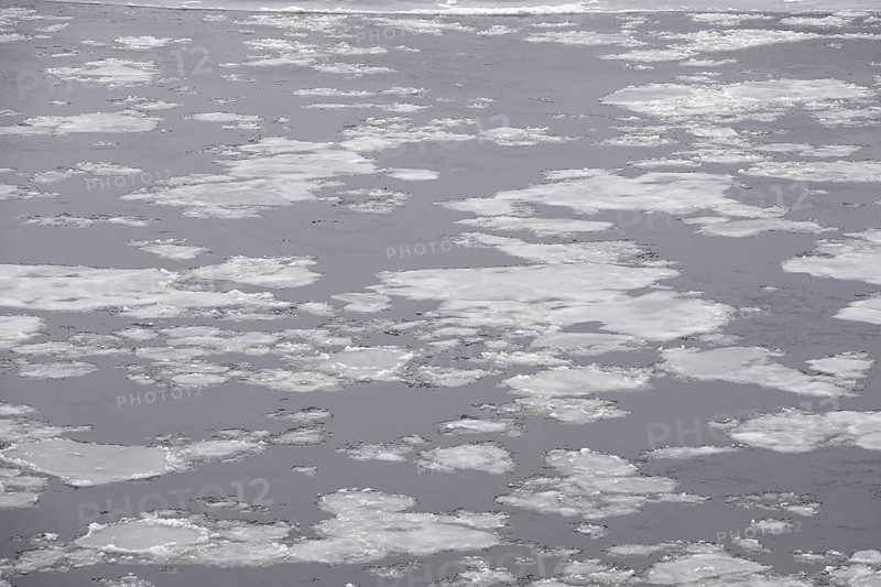 Elbe in winter with ice floes, Dresden, Saxony, Germany