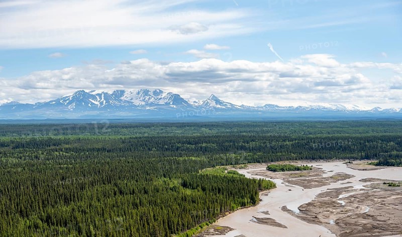 Copper River and Taiga landscape with forest, high mountain peaks in the back, Wrangell Mountains, Alaska, USA