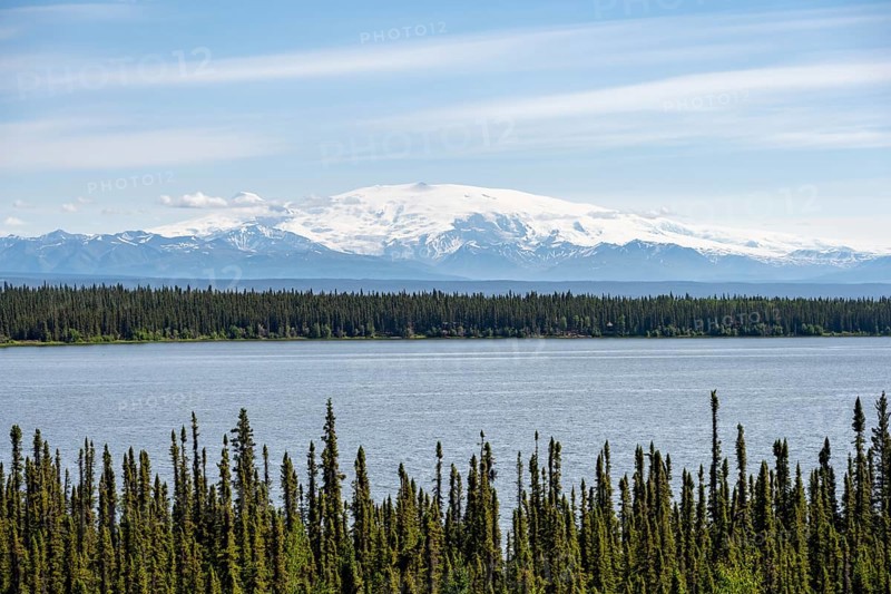 Lake Willow Lake, taiga landscape with high glaciated mountain peak Mount Wrangell, Wrangell Mountains, Alaska, USA