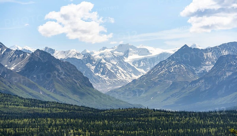 Taiga and tundra in front of mountain landscape, picturesque landscape with icy mountain peaks, Glenn Highway, Alaska, USA