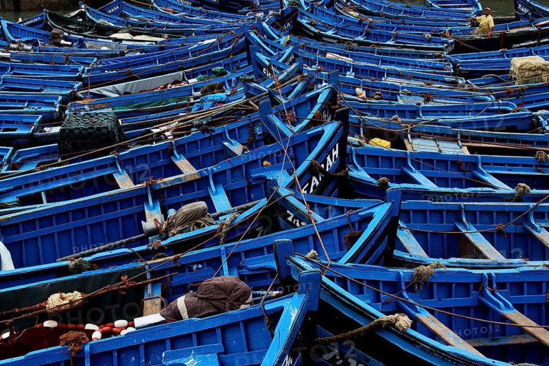 Blue-painted fishing boats close together in the port of Essaouira, Essaouira, Morocco
