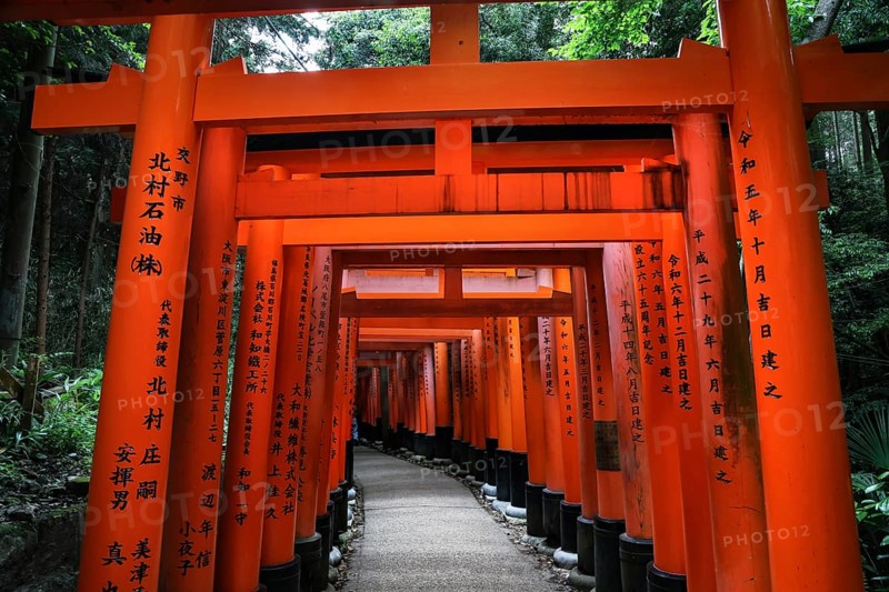 Impressive torii-lined avenue at Fushimi Inari Shrine, Kyoto, Japan