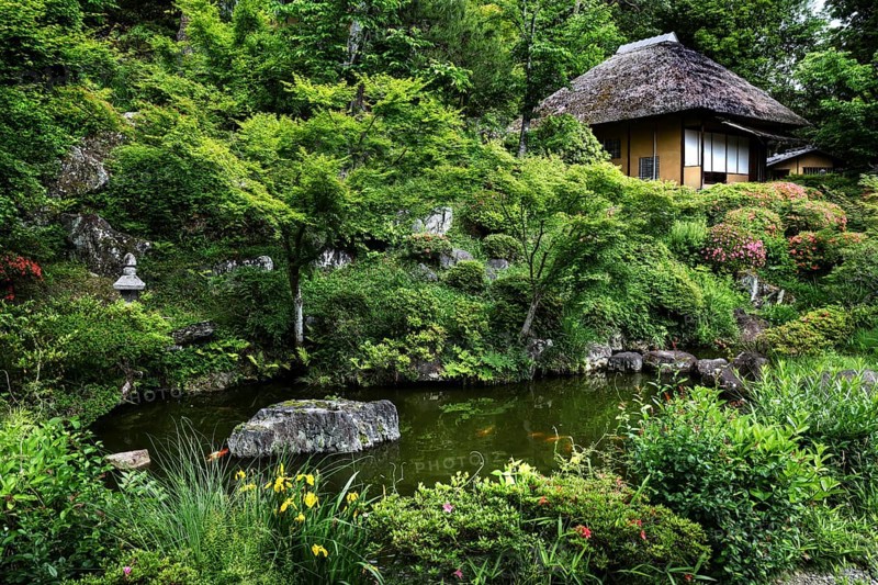 Lush garden in Higashiyama with traditional Japanese building and pond, Kyoto, Japan