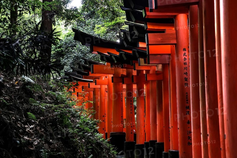 Wooded torii avenue at Fushimi Inari Shrine, Kyoto, Japan