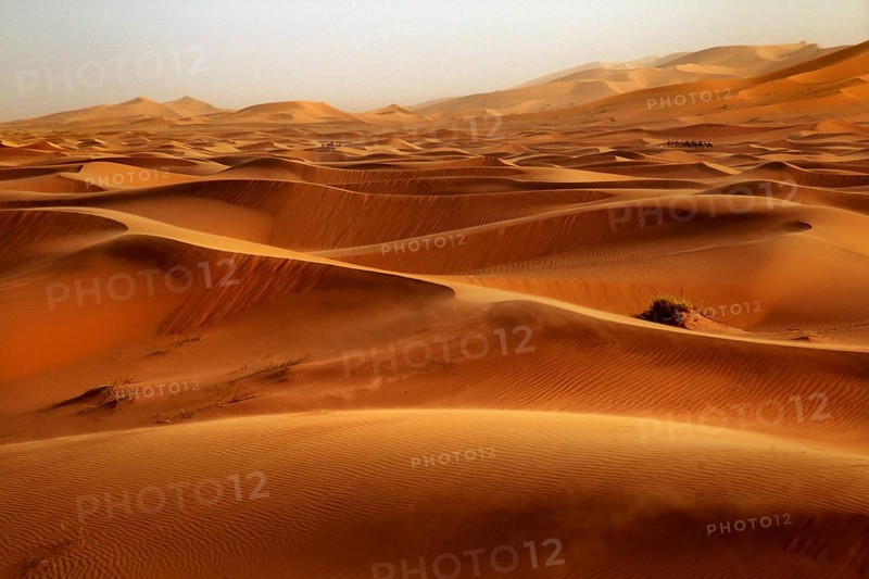 Extensive sand dunes in bright orange stretch to the horizon, Erg Chebbi, Morocco