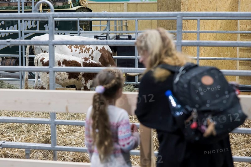 A mother and her daughter in front of a cowshed in the animal shed at the Green Week at the exhibition center in Berlin on 16.01.2026. The Agricultural and Food Industry Fair will take place from January 16-25, 2026