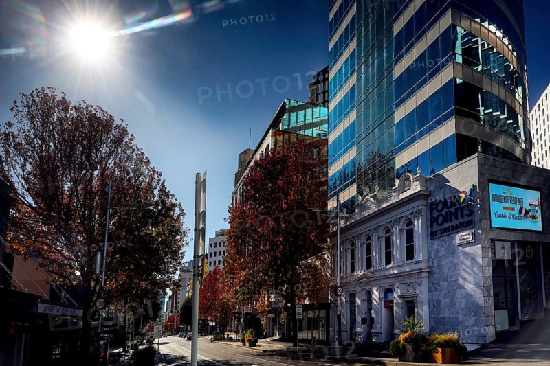 Sunny view of Queen Street with skyscrapers and colorful autumn trees, Auckland, New Zealand