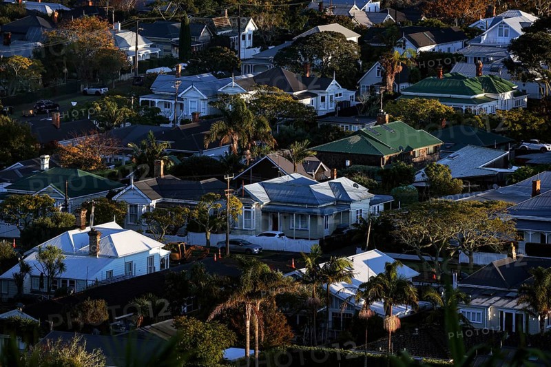 Devonport residential area with single-family homes and green surroundings, Auckland, null, New Zealand