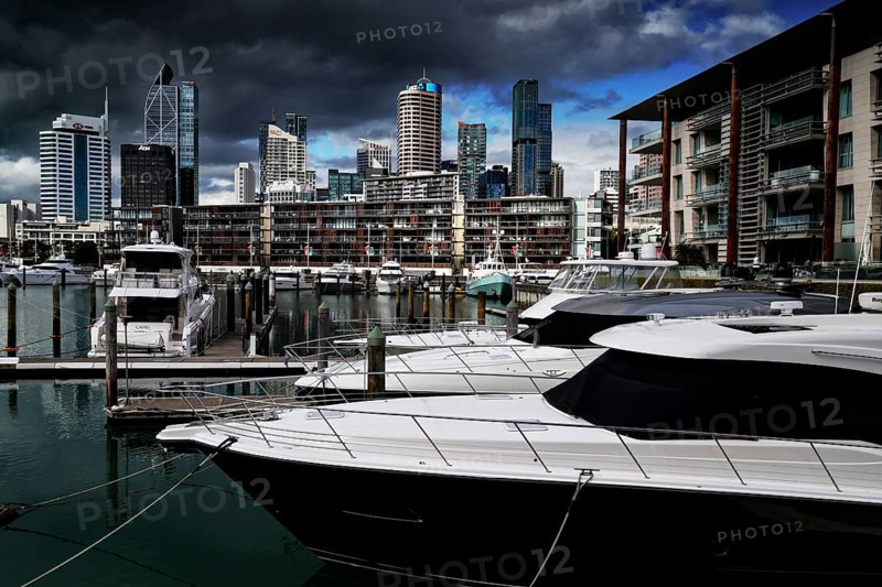 Harbour panorama with yachts and Auckland's distinctive skyline in the background, Auckland, region, New Zealand