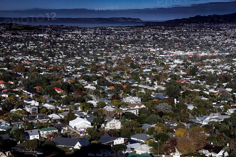 View from Mt Eden over a residential area overlooking the harbor, Auckland, New Zealand