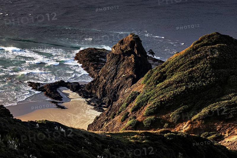 Impressive coastline with rocks and Pohutukawa tree near Cape Reinga, Cape Reinga, New Zealand