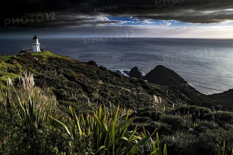 Lush coastal landscape near Cape Reinga with lighthouse and cloudscape, Cape Reinga, Northland, New Zealand