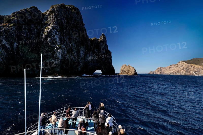 Boat trip to the Hole in the Rock rock formation in the Bay of Islands, Bay of Islands, Northland, New Zealand