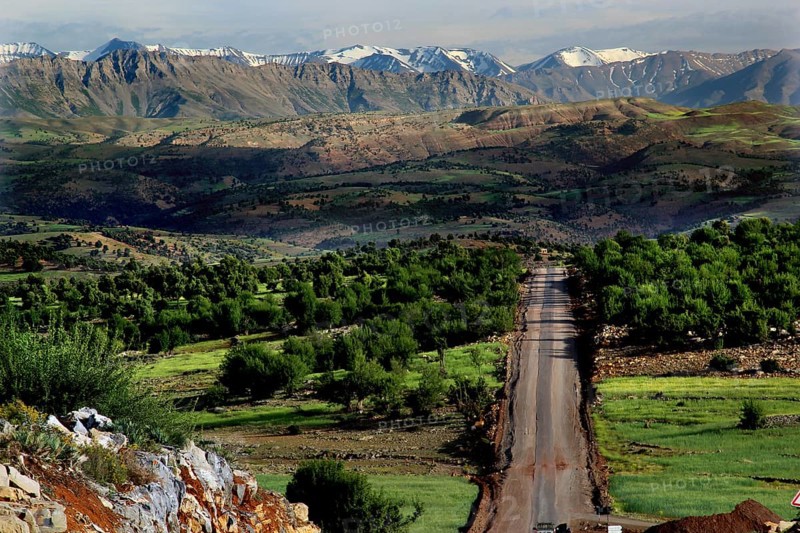 Panoramic view of a road leading through the green landscape of the High Atlas Mountains, Azilal, High Atlas, Morocco