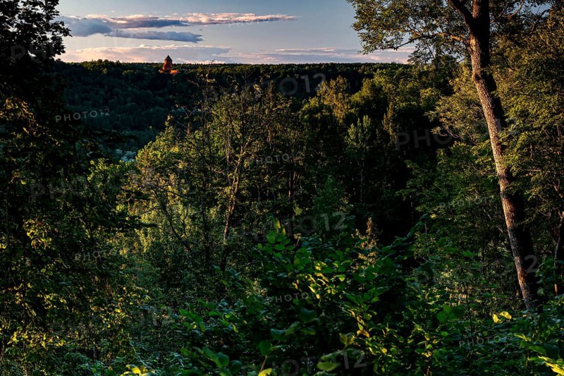 Dense forests in Gauja National Park with Turaida Castle on the horizon, Turaida, Latvia