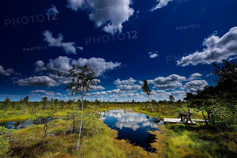 Wide swamp landscape in Kemeri National Park with reflecting water, Kemeri National Park, Latvia