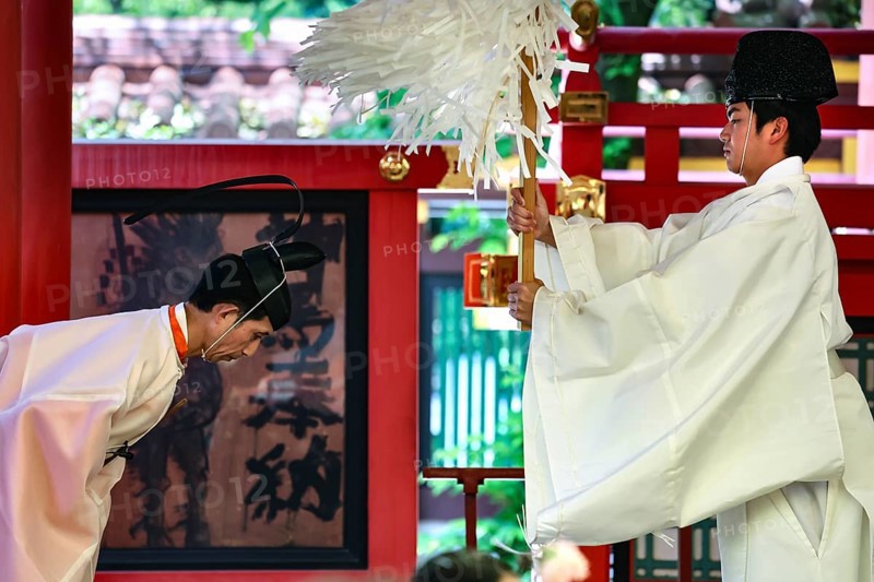 Shinto priest performs traditional ceremony at shrine, Kobe, Hyogo, Japan