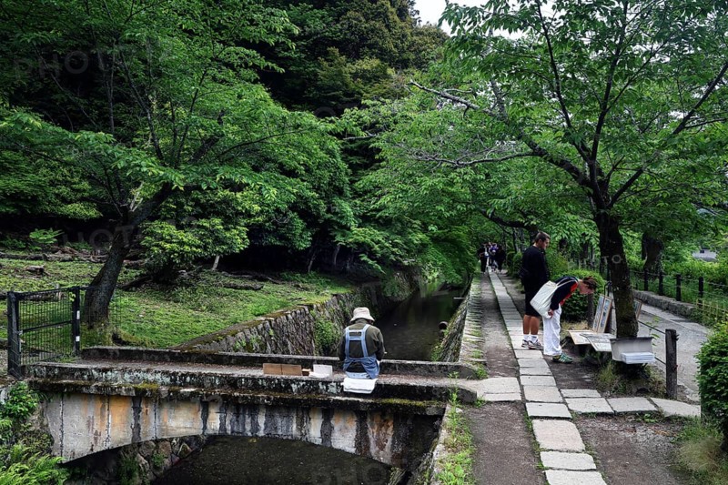 Painter on a Tetsugaku no Michi bridge surrounded by green nature and walkers, Kyoto, Okazaki, Japan