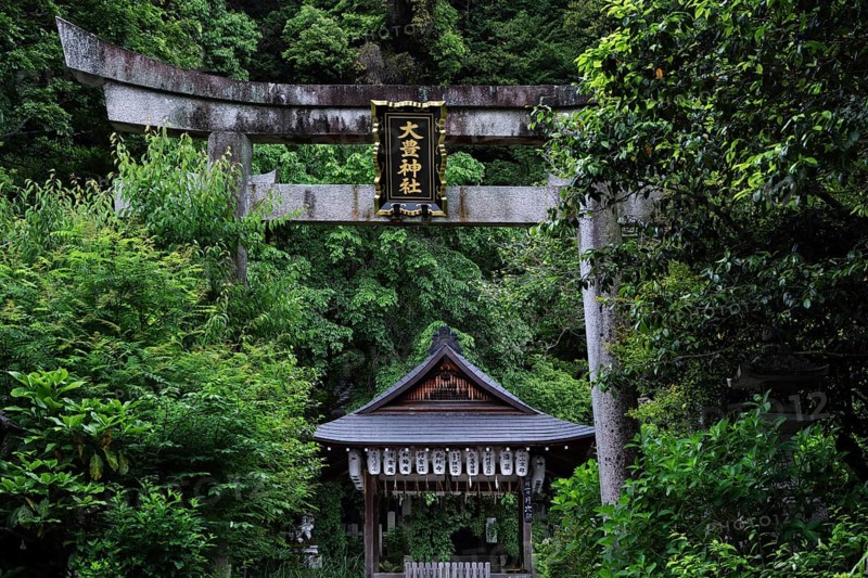 Otoyo shrine with torii along the Philosopher's Trail in Kyoto, surrounded by lush nature, Kyoto, Okazaki, Japan