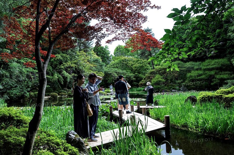 Visitors on the zigzag bridge in Heian-jingu Garden, Kyoto, Kyoto, Japan