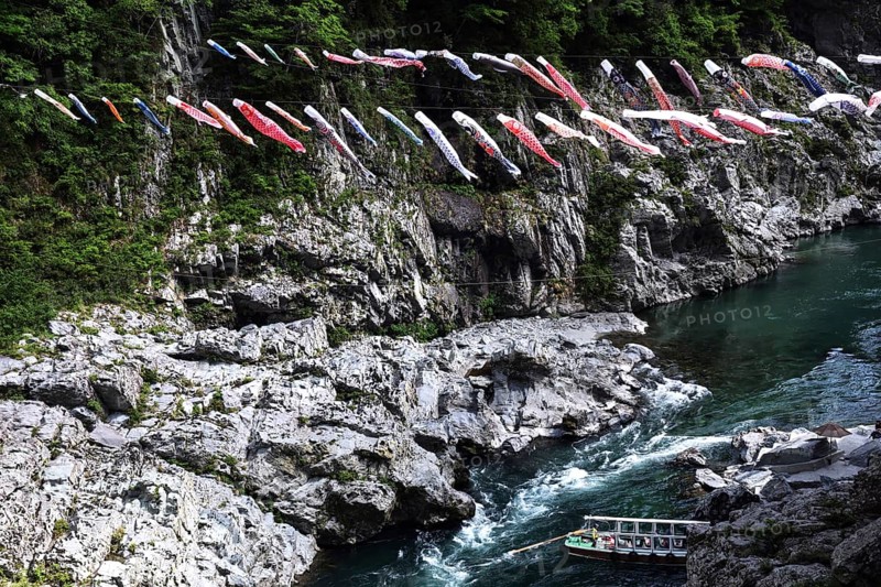 Lots of colorful fabric carps decorate the air above a river in a rocky landscape, Iya, Japan