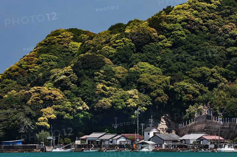 A fishing village nestled between coast and wooded hills, Kii Peninsula, Japan