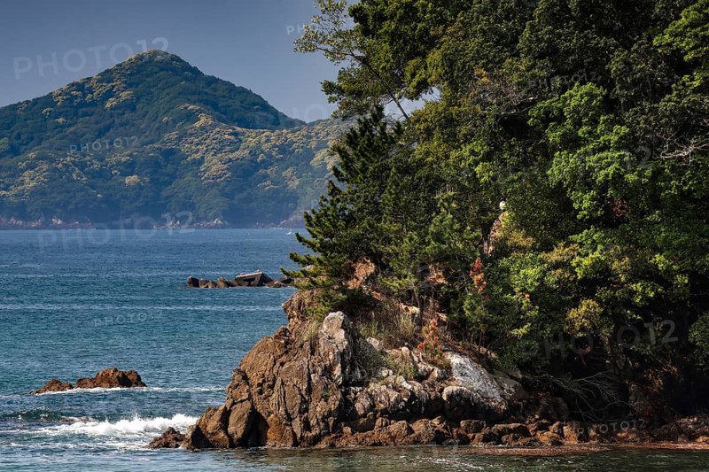 Dense vegetation on the coast of the Kii Peninsula off an island, Kii Peninsula, Japan