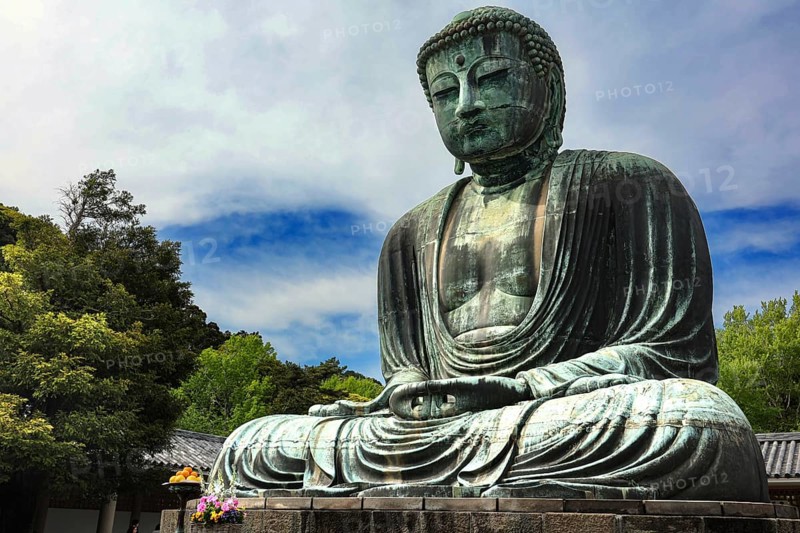 The majestic Big Buddha at Kotokuin Temple surrounded by nature in Kamakura, Kamakura, Kanagawa, Japan