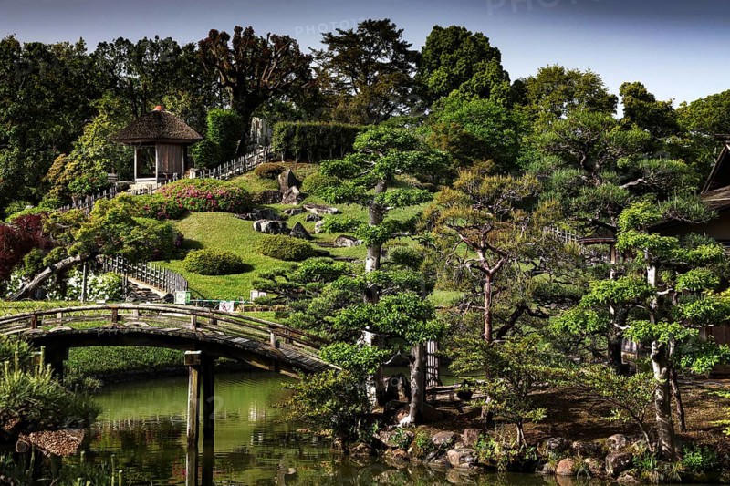 Tranquil scene in a Japanese garden with a curved bridge, Okayama, Japan