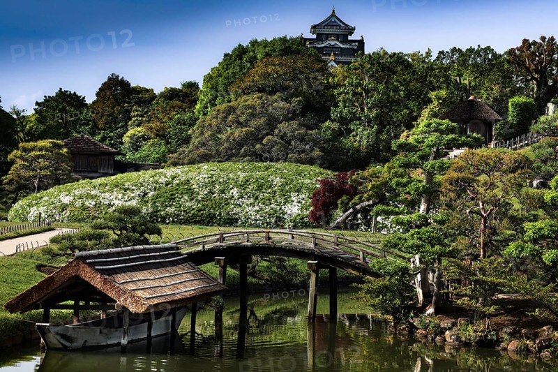 Traditional Japanese garden in Korakuen with round wooden bridge, Okayama, Japan